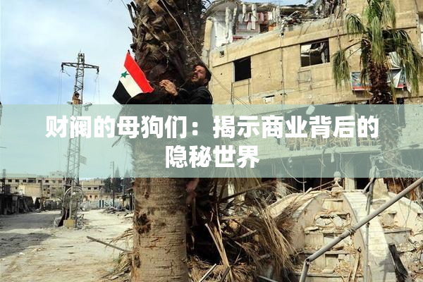 财阀的母狗们：揭示商业背后的隐秘世界