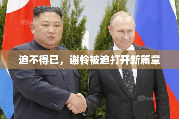 迫不得已，谢怜被迫打开新篇章
