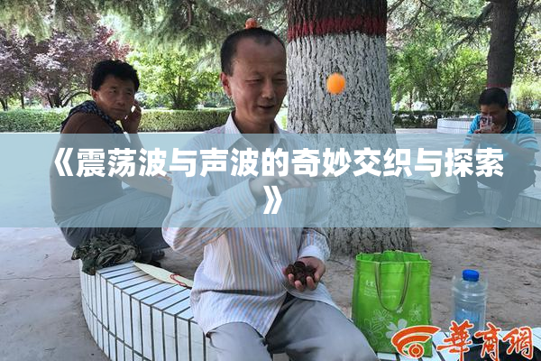 《震荡波与声波的奇妙交织与探索》