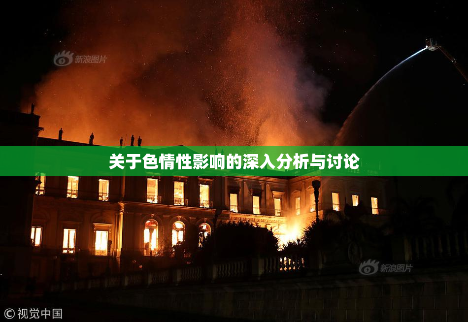关于色情性影响的深入分析与讨论