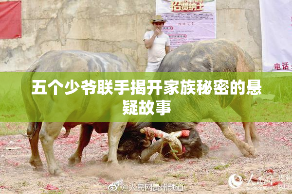 五个少爷联手揭开家族秘密的悬疑故事