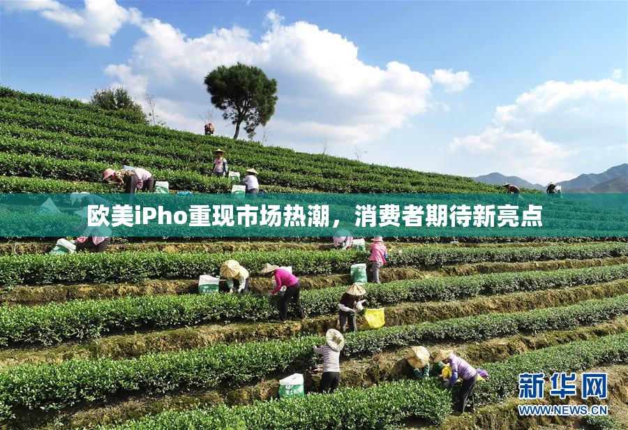 欧美iPho重现市场热潮，消费者期待新亮点