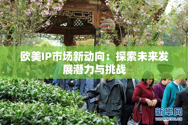 欧美IP市场新动向：探索未来发展潜力与挑战