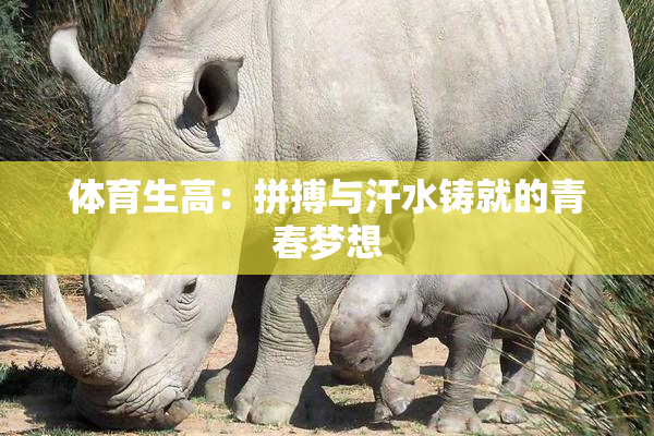 体育生高：拼搏与汗水铸就的青春梦想
