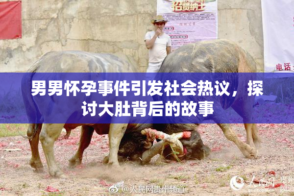 男男怀孕事件引发社会热议，探讨大肚背后的故事