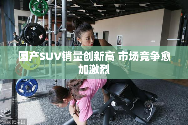 国产SUV销量创新高 市场竞争愈加激烈