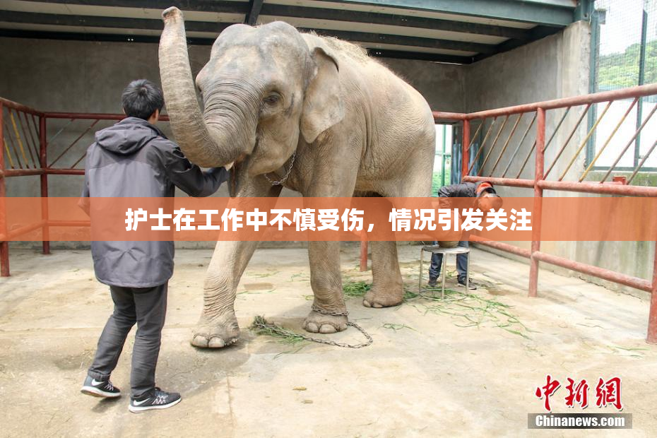 护士在工作中不慎受伤，情况引发关注