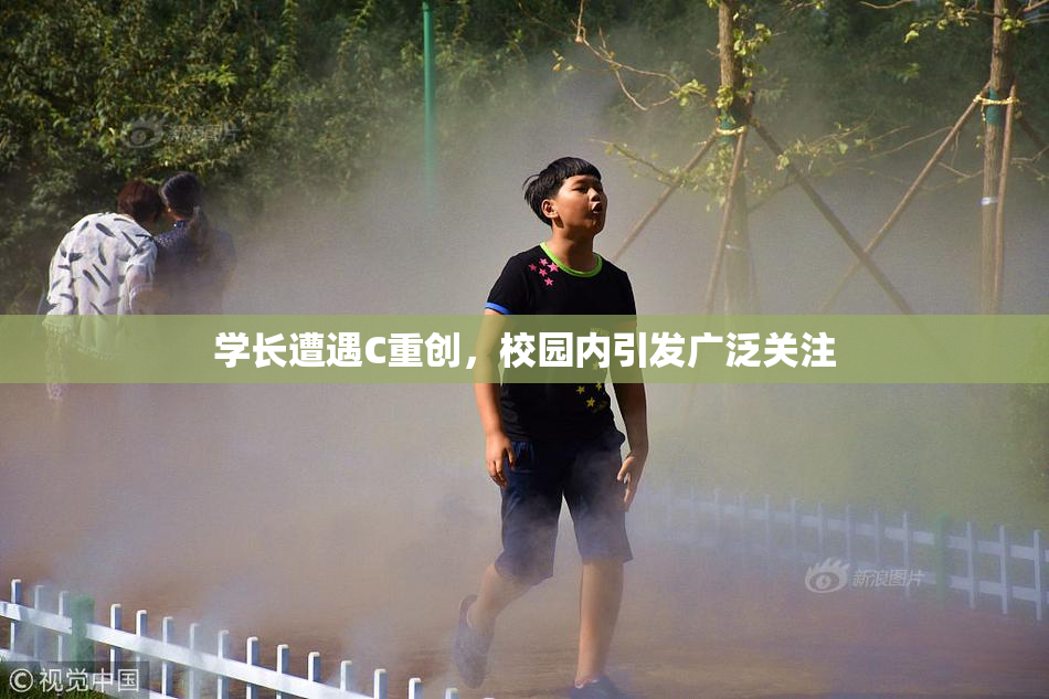 学长遭遇C重创，校园内引发广泛关注