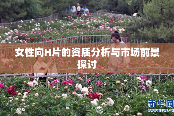 女性向H片的资质分析与市场前景探讨