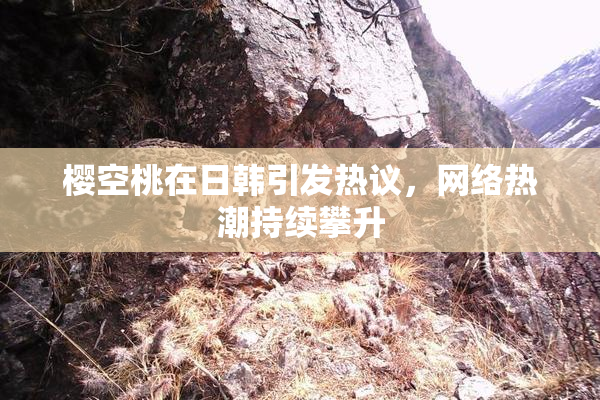 樱空桃在日韩引发热议，网络热潮持续攀升