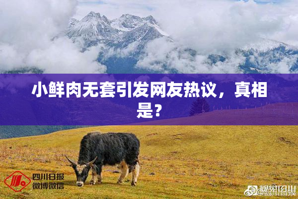 小鲜肉无套引发网友热议，真相是？