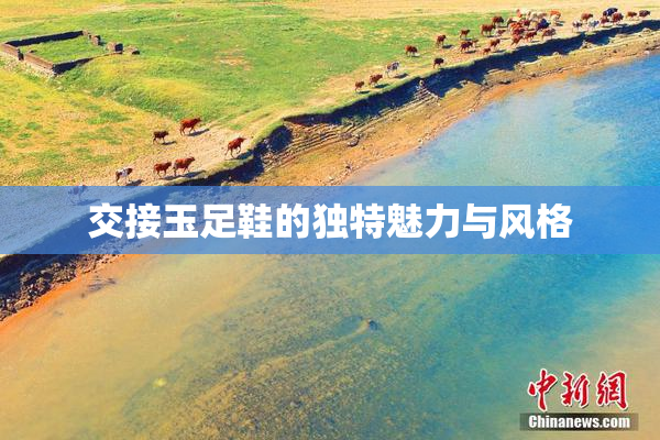 交接玉足鞋的独特魅力与风格