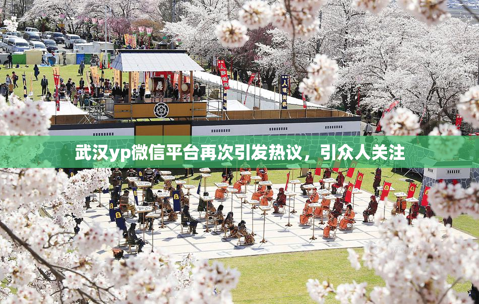 武汉yp微信平台再次引发热议，引众人关注