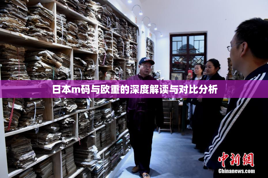 日本m码与欧重的深度解读与对比分析