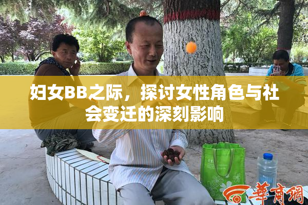妇女BB之际，探讨女性角色与社会变迁的深刻影响