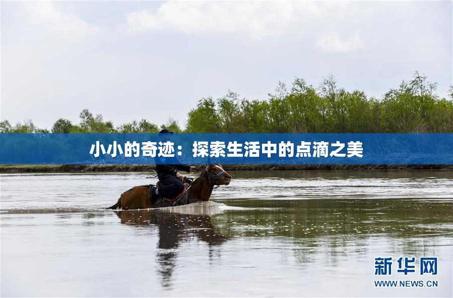 小小的奇迹：探索生活中的点滴之美