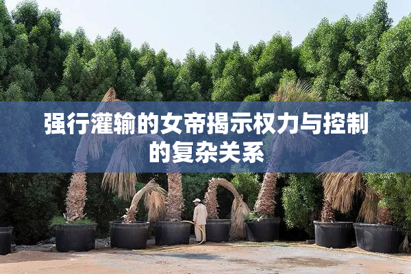 强行灌输的女帝揭示权力与控制的复杂关系