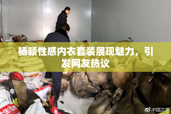 杨颖性感内衣套装展现魅力，引发网友热议