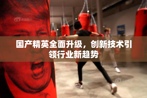 国产精英全面升级，创新技术引领行业新趋势