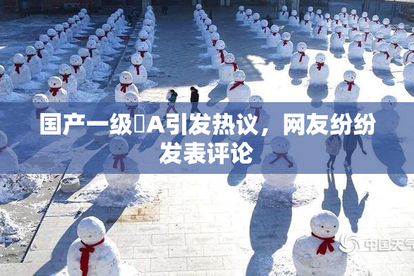 国产一级婬A引发热议，网友纷纷发表评论
