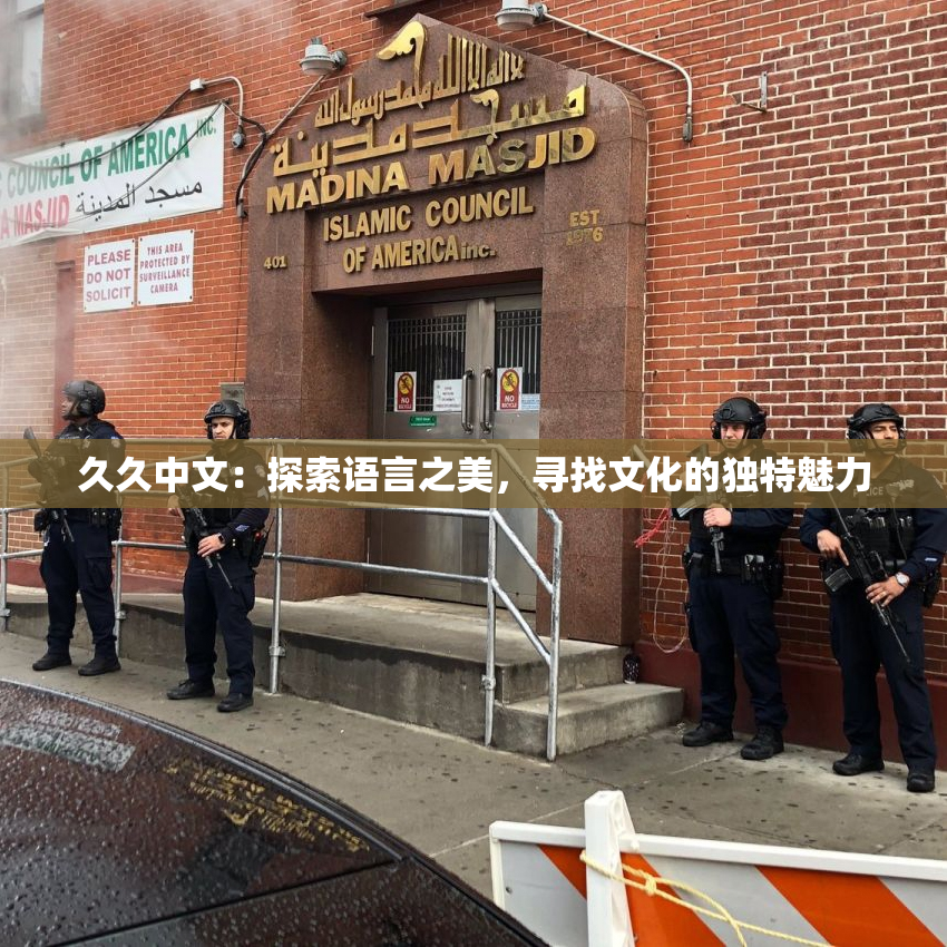 久久中文：探索语言之美，寻找文化的独特魅力