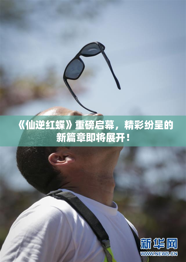 《仙逆红蝶》重磅启幕，精彩纷呈的新篇章即将展开！