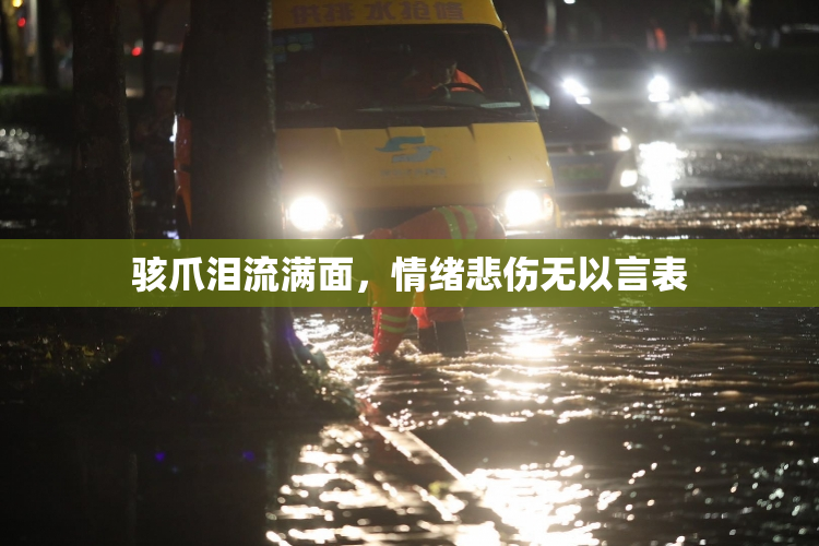 骇爪泪流满面，情绪悲伤无以言表