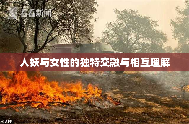人妖与女性的独特交融与相互理解