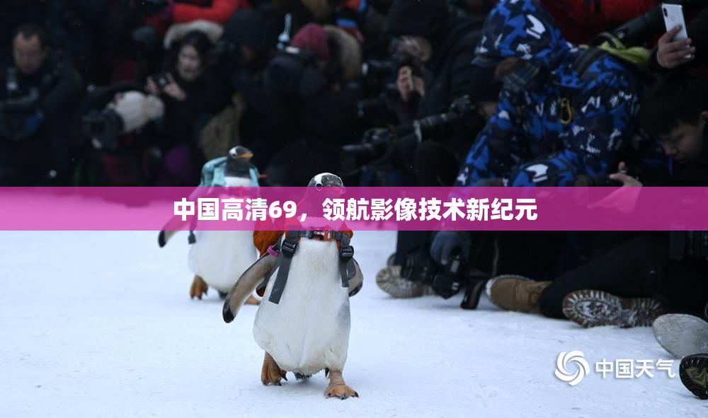 中国高清69，领航影像技术新纪元
