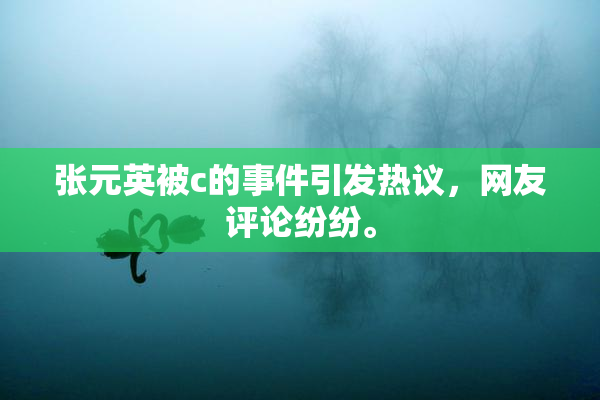 张元英被c的事件引发热议，网友评论纷纷。