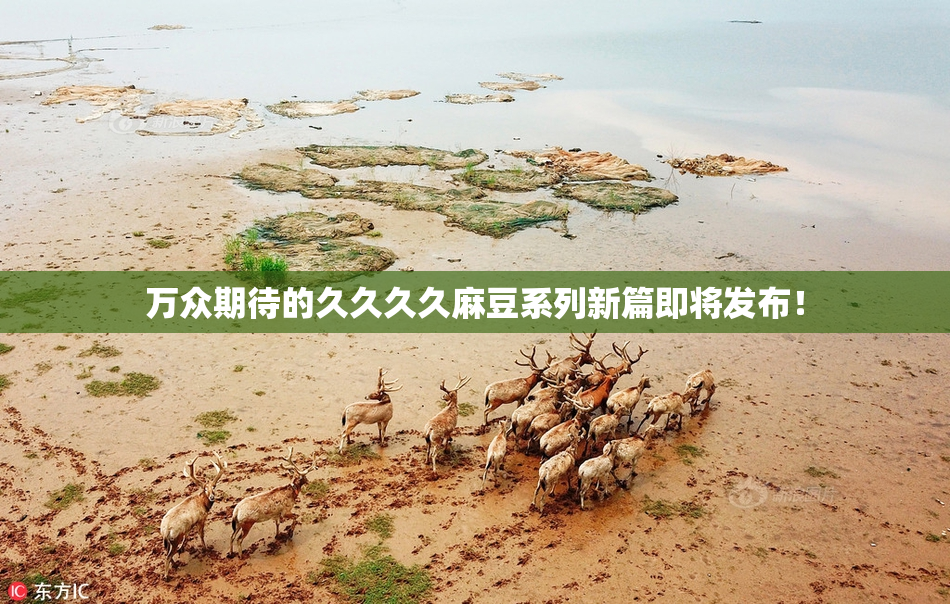 万众期待的久久久久麻豆系列新篇即将发布！