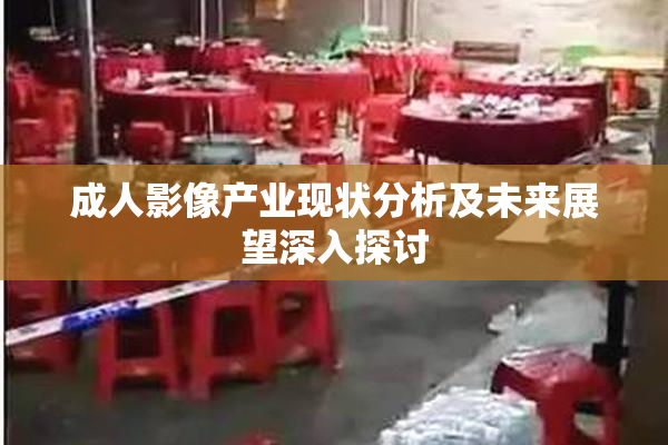 成人影像产业现状分析及未来展望深入探讨