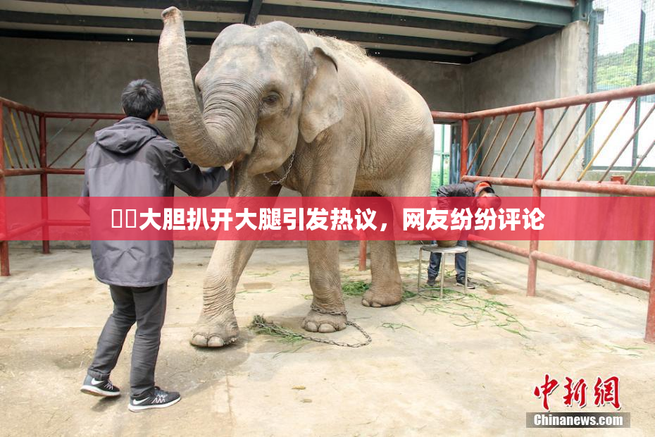 妺妺大胆扒开大腿引发热议，网友纷纷评论