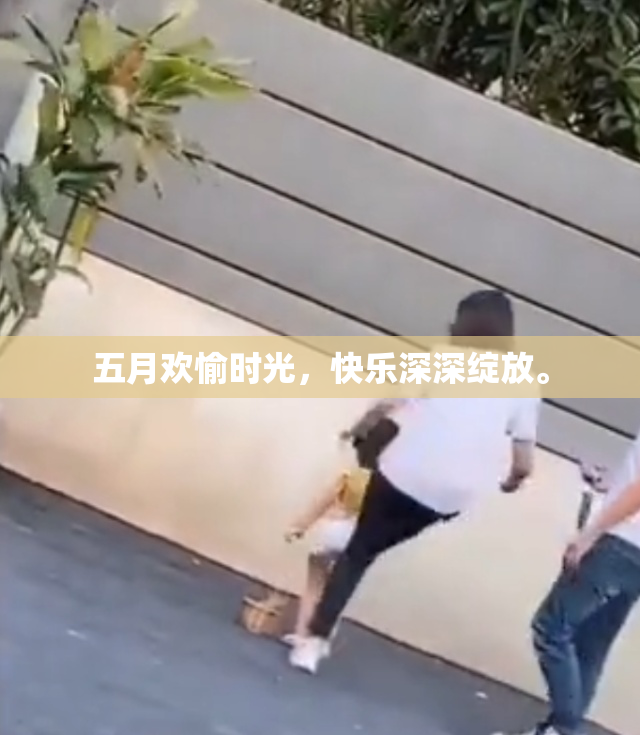 五月欢愉时光，快乐深深绽放。