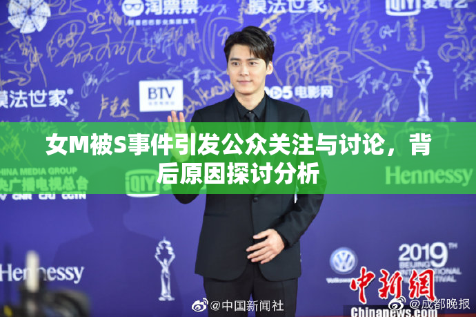 女M被S事件引发公众关注与讨论，背后原因探讨分析