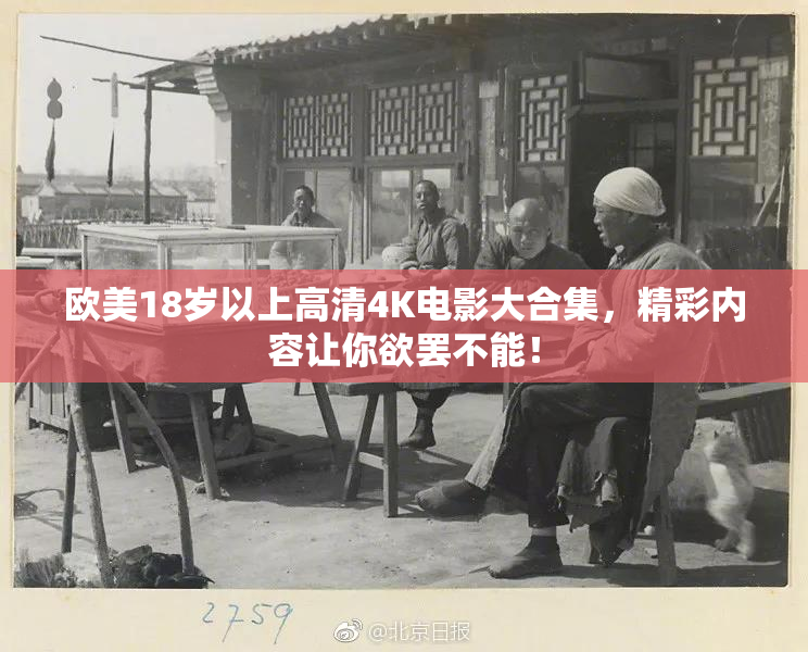 欧美18岁以上高清4K电影大合集，精彩内容让你欲罢不能！