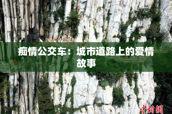 痴情公交车：城市道路上的爱情故事