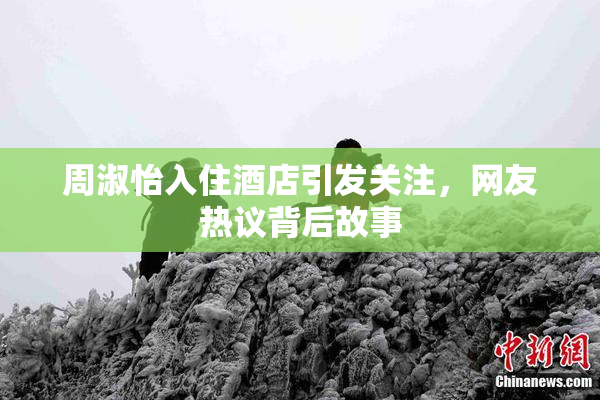 周淑怡入住酒店引发关注，网友热议背后故事
