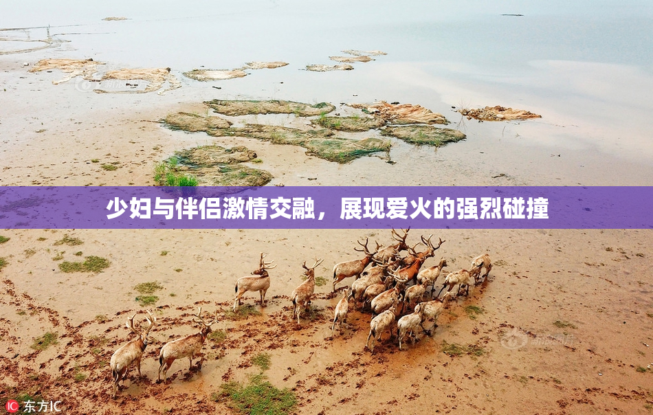 少妇与伴侣激情交融，展现爱火的强烈碰撞