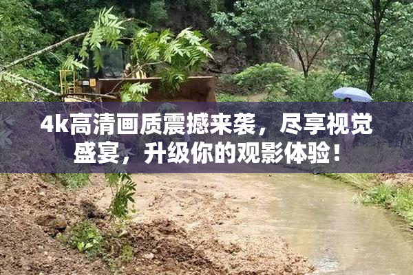 4k高清画质震撼来袭，尽享视觉盛宴，升级你的观影体验！