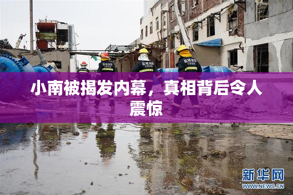 小南被揭发内幕，真相背后令人震惊