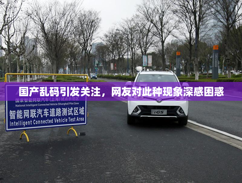 国产乱码引发关注，网友对此种现象深感困惑