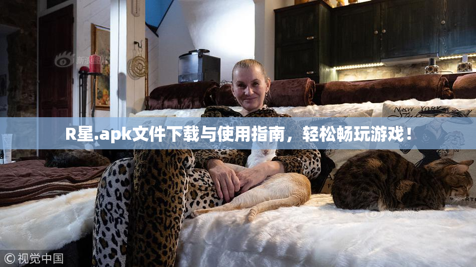 R星.apk文件下载与使用指南，轻松畅玩游戏！
