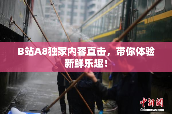 B站A8独家内容直击，带你体验新鲜乐趣！