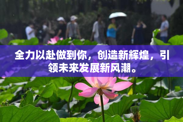 全力以赴做到你，创造新辉煌，引领未来发展新风潮。