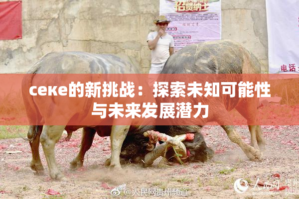 ceке的新挑战：探索未知可能性与未来发展潜力