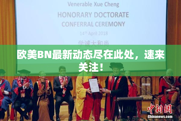 欧美BN最新动态尽在此处，速来关注！