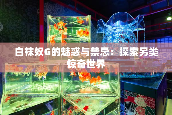 白袜奴G的魅惑与禁忌：探索另类惊奇世界