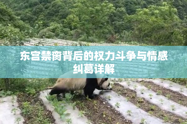 东宫禁脔背后的权力斗争与情感纠葛详解