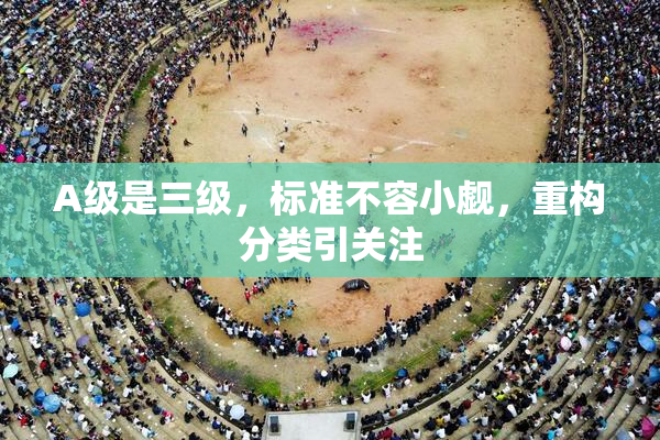 A级是三级，标准不容小觑，重构分类引关注